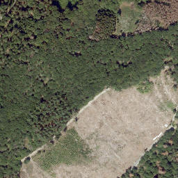 Satellite imagery of Hirschkopf, DE