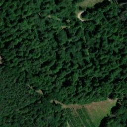 Satellite imagery of Reichsbühl, DE