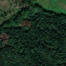 Satellite imagery of Wachkopf, DE