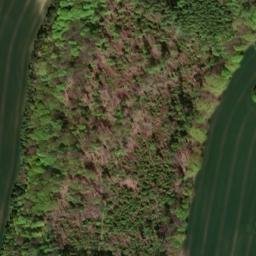 Satellite imagery of Steinkuppe, DE