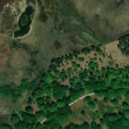 Satellite imagery of Bratley Plain, GB