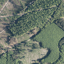 Satellite imagery of Buberg, DE