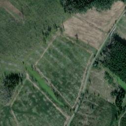 Satellite imagery of Herrchen, DE
