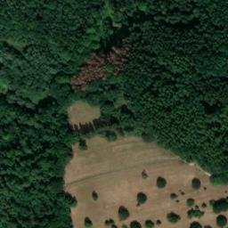 Satellite imagery of Wachkopf, DE