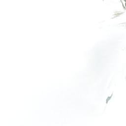 Satellite imagery of Mount Brockenspectre, CA