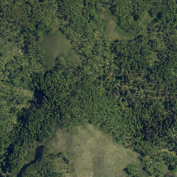 Satellite imagery of Robinson Hill, CA