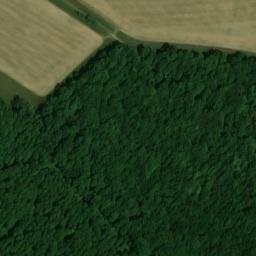 Satellite imagery of Shillingstone Hill, FR