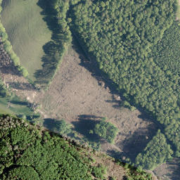 Satellite imagery of Hohe Ley, DE