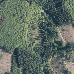 Satellite imagery of Kirberg, DE