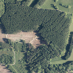 Satellite imagery of Kirberg, DE
