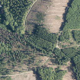 Satellite imagery of Buberg, DE