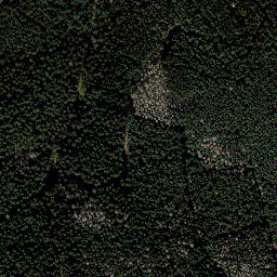 Satellite imagery of Finstere Tanne, DE