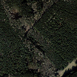 Satellite imagery of Finstere Tanne, DE