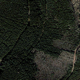 Satellite imagery of Finstere Tanne, DE