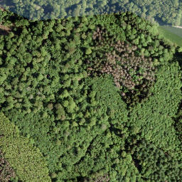 Satellite imagery of Hohe Ley, DE