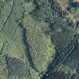 Satellite imagery of Kirberg, DE