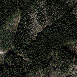 Satellite imagery of Finstere Tanne, DE