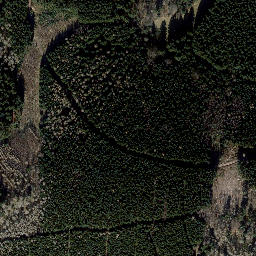 Satellite imagery of Finstere Tanne, DE