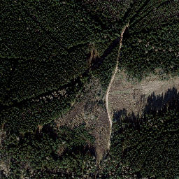 Satellite imagery of Finstere Tanne, DE