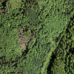 Satellite imagery of Hohe Ley, DE