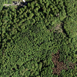 Satellite imagery of Hohe Ley, DE