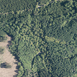 Satellite imagery of survey_point, FR