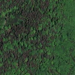 Satellite imagery of Heidelberg, DE