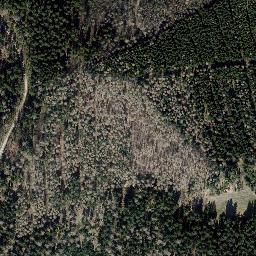 Satellite imagery of Finstere Tanne, DE