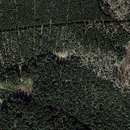 Satellite imagery of Finstere Tanne, DE