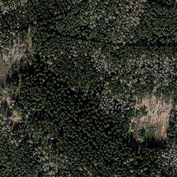 Satellite imagery of Finstere Tanne, DE