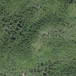 Satellite imagery of Mount Lemon, CA