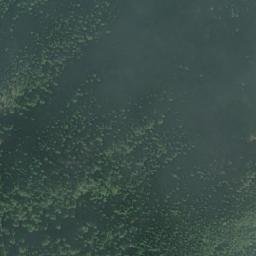 Satellite imagery of Ward Point, CA