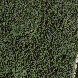 Satellite imagery of Notch Hill, CA