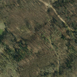 Satellite imagery of Hohe Schanze, DE