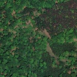 Satellite imagery of Roteküppel, DE