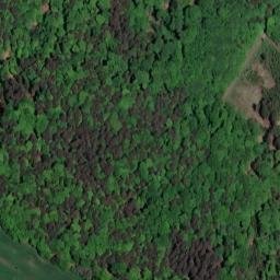 Satellite imagery of Heidelberg, DE
