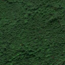 Satellite imagery of Linsenkuppe, DE