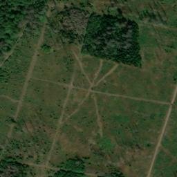 Satellite imagery of Birkenheide, DE