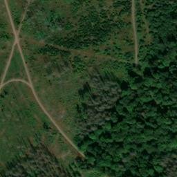 Satellite imagery of Birkenheide, DE