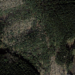 Satellite imagery of Wachkopf, DE