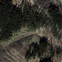 Satellite imagery of Wachkopf, DE