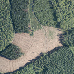 Satellite imagery of Rothe Kirche, DE
