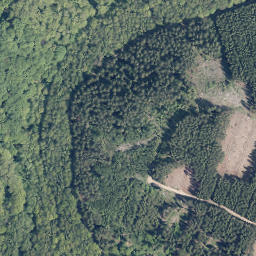 Satellite imagery of Hohe Hardt, DE