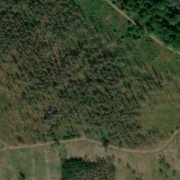 Satellite imagery of Birkenheide, DE