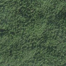 Satellite imagery of Mount Wynyard, CA