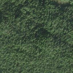 Satellite imagery of Mount Wynyard, CA