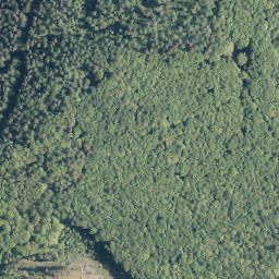 Satellite imagery of Grimberg, DE