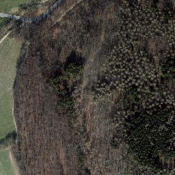 Satellite imagery of Dachsberg, DE