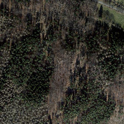 Satellite imagery of Dachsberg, DE
