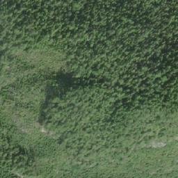 Satellite imagery of Mount Wynyard, CA
